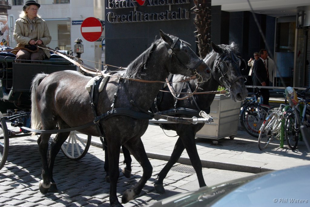 Vienna_2-5-07 004.jpg